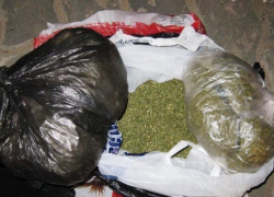 Под Волгоградом марихуаной торговали оптом и стаканами