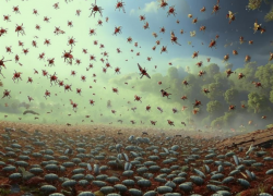 Названа дата завершения сезона мошки в Волжском