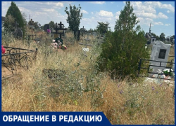 «Неужели память о наших близких никому не нужна?»: волжанка пожаловалась на состояние кладбища