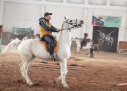 В "Кентавре" прошли новогодние соревнования для волжан