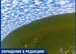 «Отравленная вода и бездействие правления» : жительница СНТ „Цветущий Сад“ в Волжском  бьёт тревогу