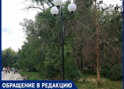 "Фонари в парке, того и гляди, придавят кого-нибудь", - волжанка