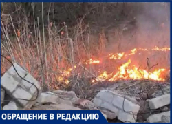 Регулярные поджоги пришли в Волжские СНТ вместе с весной