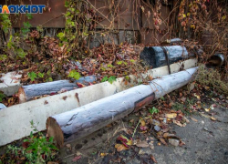 День тихой памяти и дождиной мудрости: как на Руси встречали «Дедовские плачи»