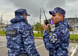 Серия задержаний в Волжском: Росгвардия пресекла кражи и драку в торговых сетях