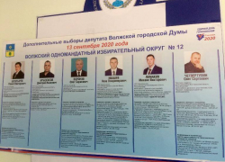 Стали известны предварительные результаты выборов депутата в Волжском