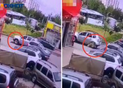 В Волжском нашли водителя, который проехался на кроссовере по спящей собаке