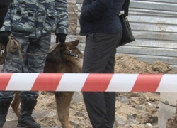 За убийство и расчленение женщины в Волжском арестовали ее собутыльника