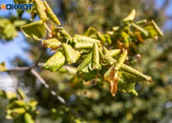 Нельзя переезжать: приметы для волжан на воскресенье 