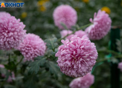 Выходные в Волжском будут хмурыми: прогноз погоды