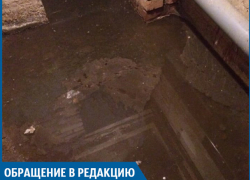 Помогите избежать эпидемии! - волжанка
