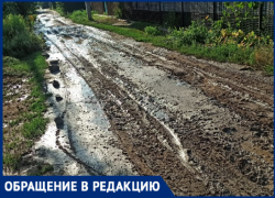 «Грязь по колено»: жители волжского СНТ утопают в бездорожье