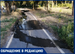 «Рисовые плантации» вместо пешеходной дорожки: канализационный утечка не дает прохода волжанам