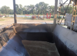 17-летнего парня насмерть засыпало 14 тоннами зерна в Волгоградской области