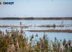 Облачно и без осадков: прогноз погоды на 26 октября в Волжском
