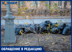 «Хожу по улице и собираю мусор»: волжанка бьет тревогу из-за нового эксперимента с отходами