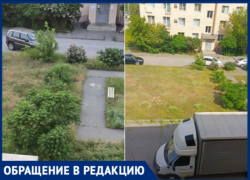 «Косим траву за свой счет»: волжане спасают детей от клещей и крыс, пока УК бездействует