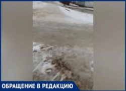 «Коммунальщикам плевать»: в Волжском из-за недостатка дворников страдают жители