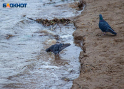 В Волжском исследуют воду на холеру 