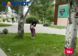 В 20 метрах от общепита посреди дороги женщина села справлять нужду в Волжском: видео