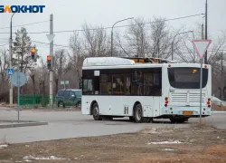 Волжане восстали против подорожания проезда: петиция призывает власти пересмотреть цены