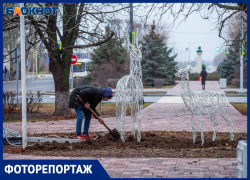 Волжский преображается к Новому году: фоторепортаж