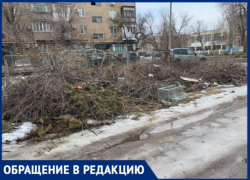В Волжском горожане боятся больших пожаров из-за свалок сухостоя во дворах 