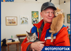  Акция Выставочного зала помогла котикам обрести дома