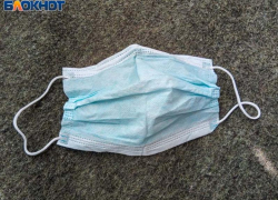 Тайная угроза от домашних животных: волжанам рассказали, как защититься от лихорадки скотобоен 