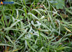 Вторник в Волжском будет пасмурным: ожидается магнитная буря