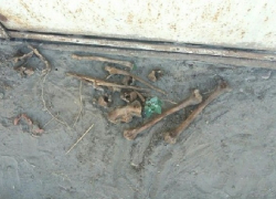 Возле школы на севере Волгограда нашли человеческие останки