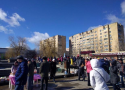 Волжане водили хороводы у мангала с шашлыком