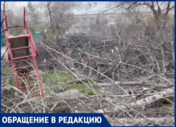 Детская площадка тонет в ветках, жители ждут нашествие крыс: история двора в Волжском