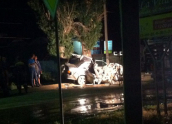 Под Волгоградом ВАЗ-2115 врезался в дерево: погибла 24-летняя девушка