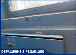 «Пауки стали хозяевами»: жители волжского поселка Рабочий обвиняют УК в тотальной антисанитарии