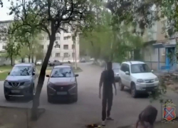 В Волжском задержан мужчина, устроивший конфликт во дворе из-за цветов: видео