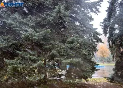 На Волжский надвигается снежная буря