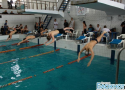 В Волжском определили сильнейших пловцов