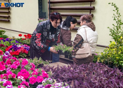 Искры творчества, криминальные тайны и ритмы весны: афиша Волжского на неделю с 20 по 26 апреля