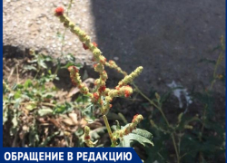 "Мы очень испугались", - волжанка