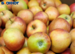 Сколько стоят плоды грехопадения в Волжском: мониторинг цены на яблоки