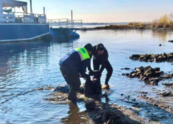 Тело неизвестного мужчины нашли в Волге