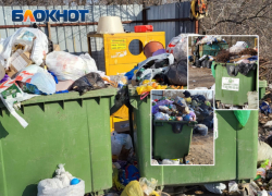 Драки за звание волжского мусорного короля не было: ООО «ЭкоЦентр» оставят постоянным регоператором