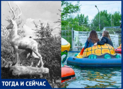 Возвращение «блудного» оленя планируется в парке «Гидростроитель» в Волжском