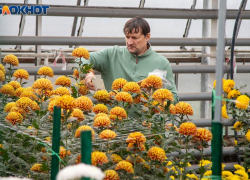 Михайлов день: традиции осеннего праздника