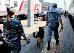 В Волгоградской области стартовала «Звезда Каспия»: о преступлениях просят сообщать в полицию