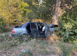 «Не справился с управлением и врезался в дерево»: близ Волжского произошло ДТП с пострадавшими