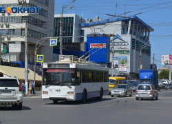 Волжане молят председателя Госдумы о помощи с безопасным транспортом