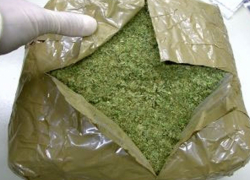 В Средней Ахтубе безработный нес полтора килограмма марихуаны