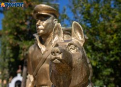 Солнце не порадует жителей Волжского в четверг: погода